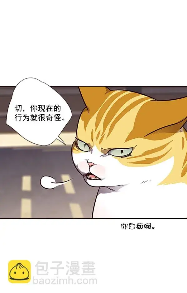 漫画《觉醒吧，铲屎官！》第50话第38张图