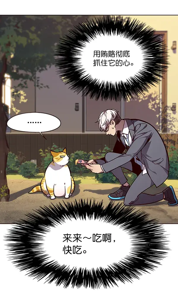 漫画《觉醒吧，铲屎官！》第50话第44张图