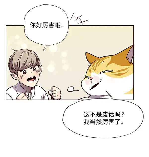 漫画《觉醒吧，铲屎官！》第51话第36张图