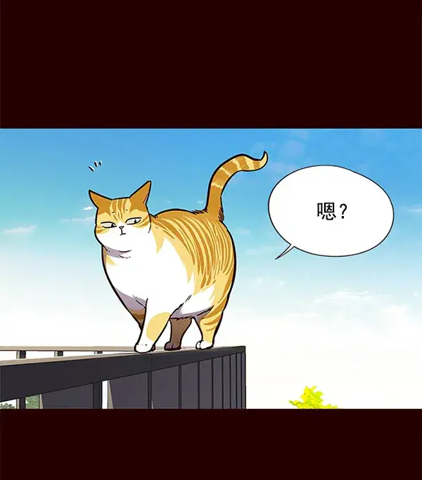 漫画《觉醒吧，铲屎官！》第52话第42张图