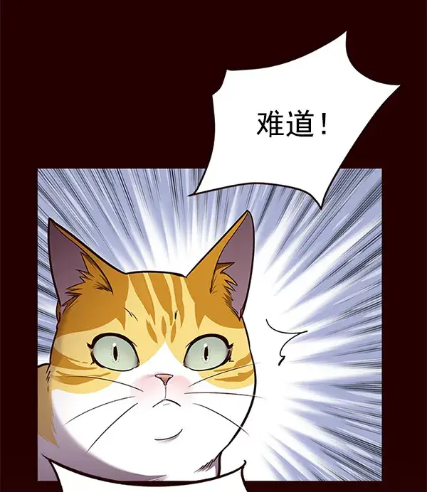 漫画《觉醒吧，铲屎官！》第52话第45张图