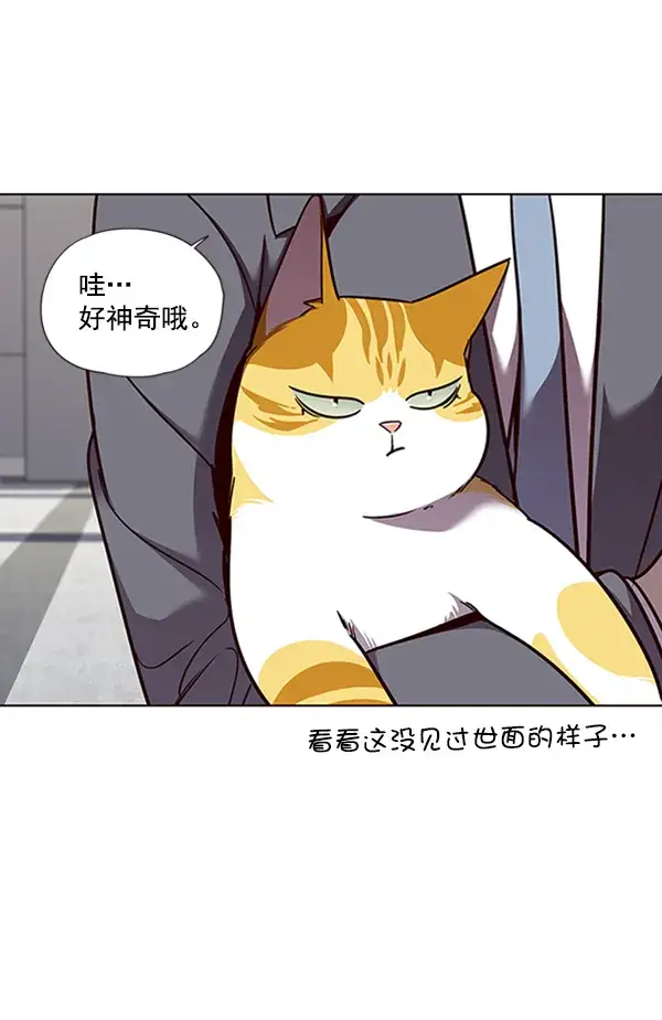 漫画《觉醒吧，铲屎官！》第53话第29张图