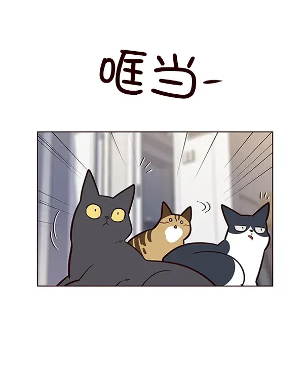漫画《觉醒吧，铲屎官！》第55话第14张图