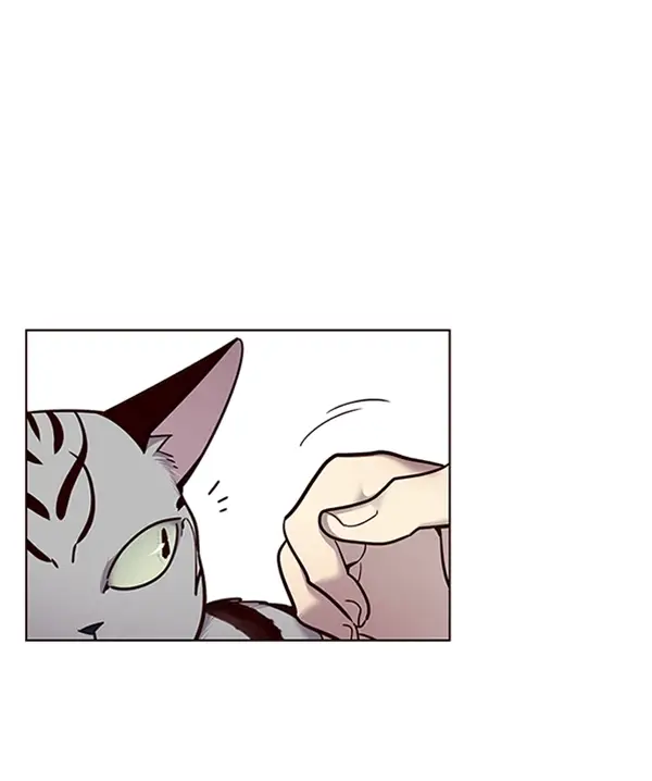 漫画《觉醒吧，铲屎官！》第55话第20张图