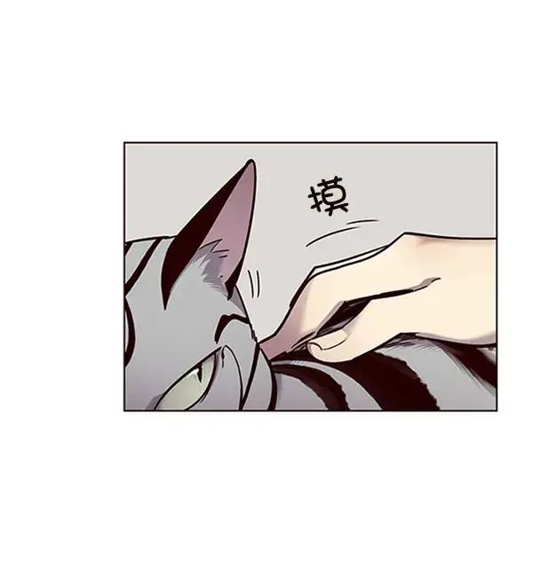 漫画《觉醒吧，铲屎官！》第55话第21张图