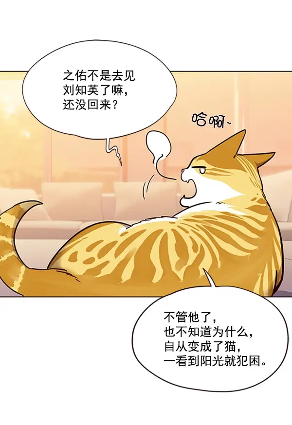 漫画《觉醒吧，铲屎官！》第56话第25张图