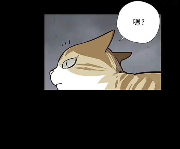 漫画《觉醒吧，铲屎官！》第56话第4张图