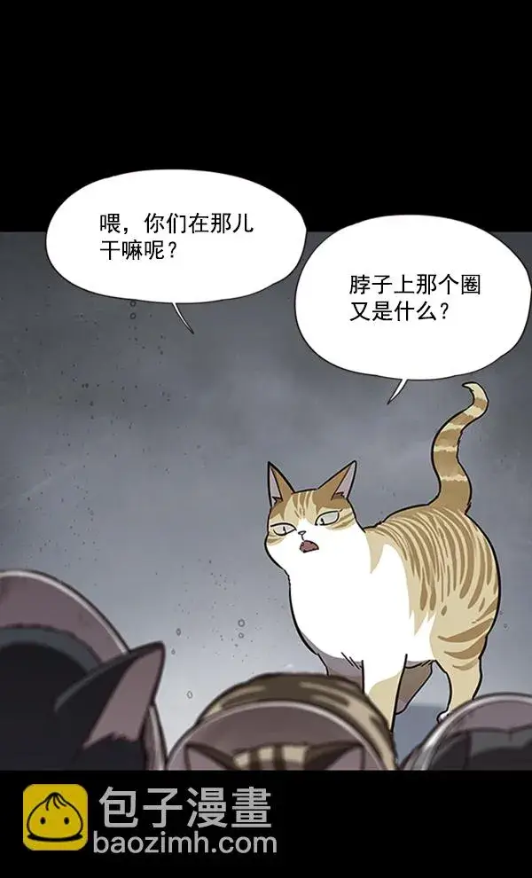漫画《觉醒吧，铲屎官！》第56话第6张图