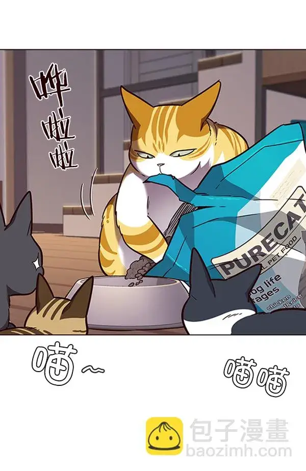 漫画《觉醒吧，铲屎官！》第56话第70张图