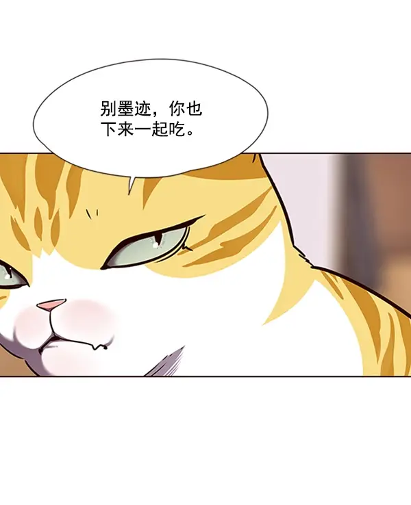 漫画《觉醒吧，铲屎官！》第56话第72张图
