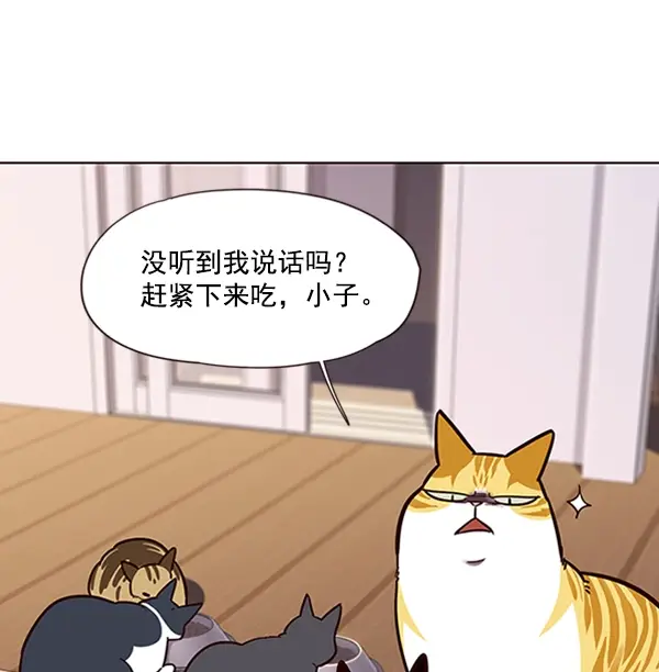 漫画《觉醒吧，铲屎官！》第56话第74张图