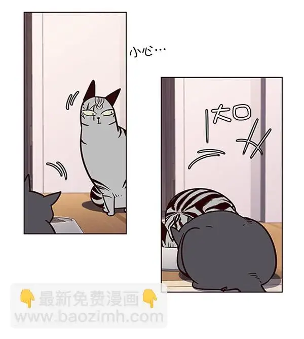 漫画《觉醒吧，铲屎官！》第56话第76张图