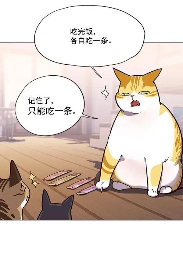 漫画《觉醒吧，铲屎官！》第56话第79张图