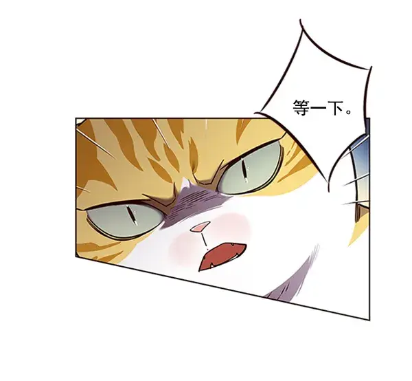 漫画《觉醒吧，铲屎官！》第56话第84张图