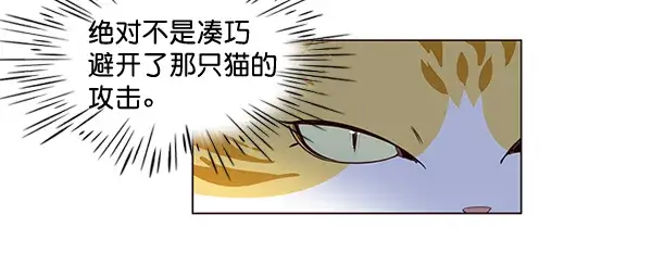 漫画《觉醒吧，铲屎官！》第3话第109张图