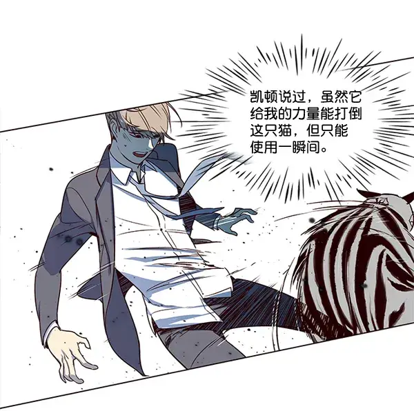 漫画《觉醒吧，铲屎官！》第3话第114张图