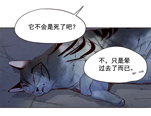 漫画《觉醒吧，铲屎官！》第3话第138张图