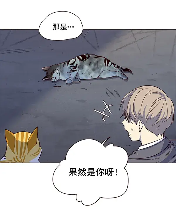 漫画《觉醒吧，铲屎官！》第3话第140张图