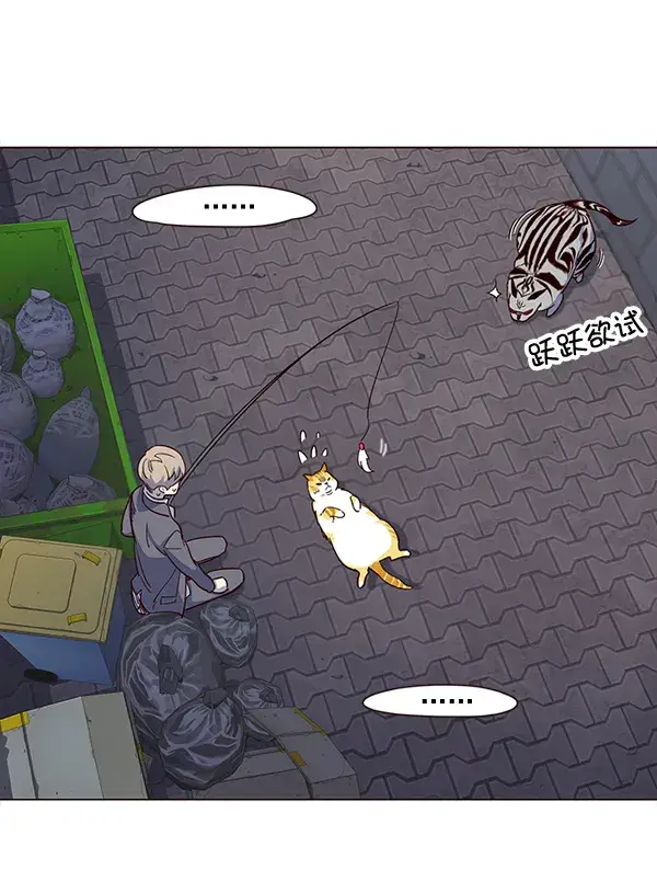 漫画《觉醒吧，铲屎官！》第3话第17张图