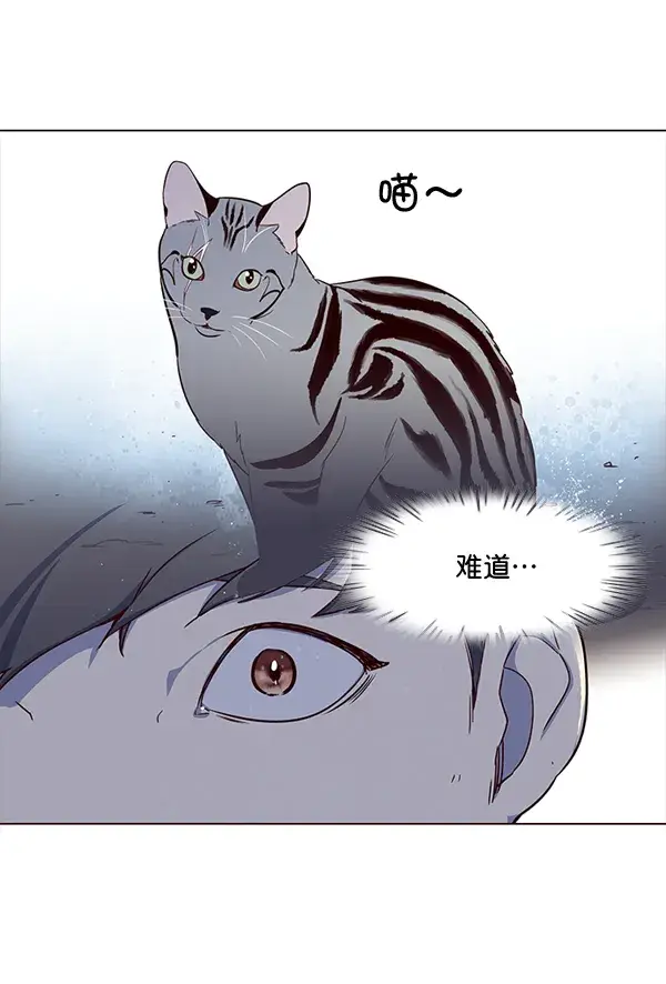 漫画《觉醒吧，铲屎官！》第3话第29张图