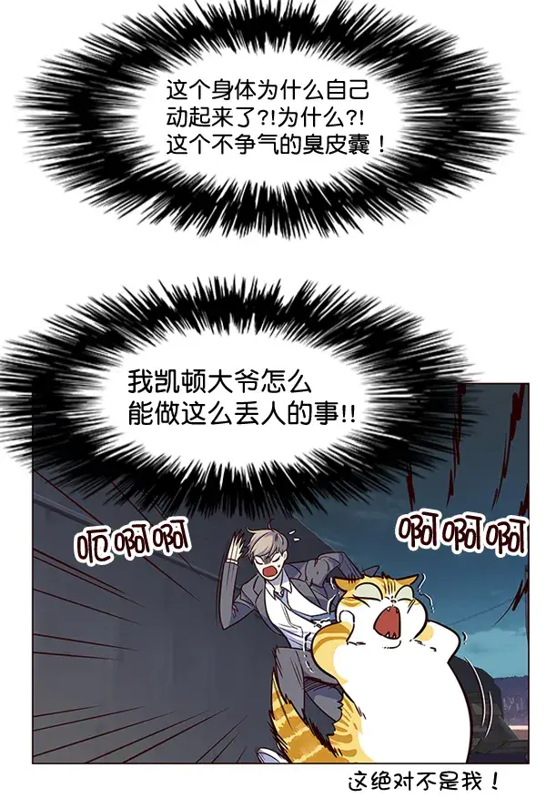 漫画《觉醒吧，铲屎官！》第3话第34张图