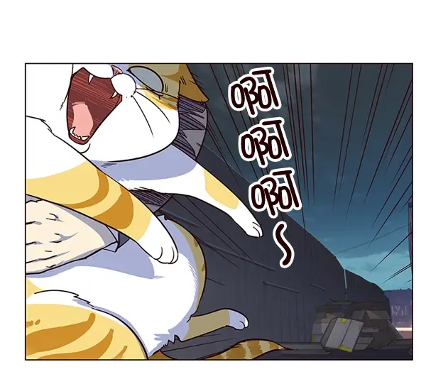 漫画《觉醒吧，铲屎官！》第3话第36张图