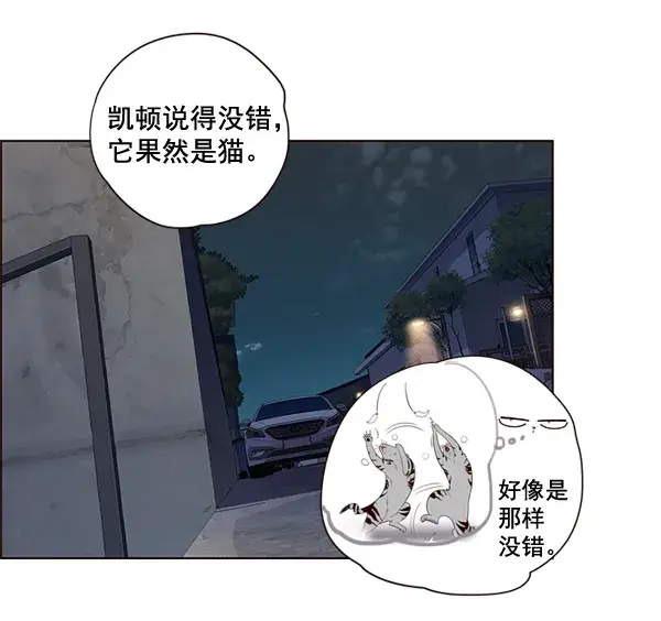 漫画《觉醒吧，铲屎官！》第3话第46张图