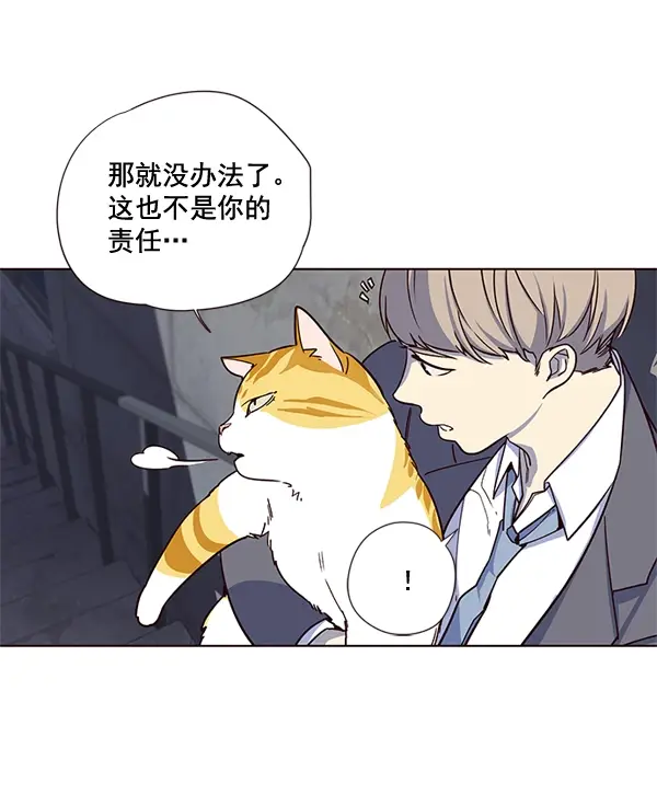 漫画《觉醒吧，铲屎官！》第3话第56张图