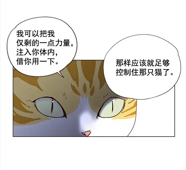 漫画《觉醒吧，铲屎官！》第3话第69张图