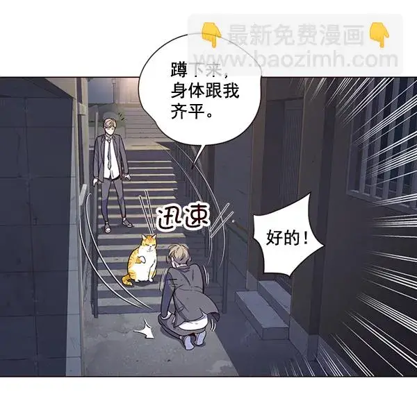 漫画《觉醒吧，铲屎官！》第3话第72张图