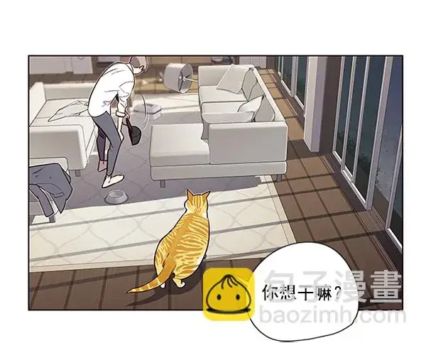 漫画《觉醒吧，铲屎官！》第4话第103张图