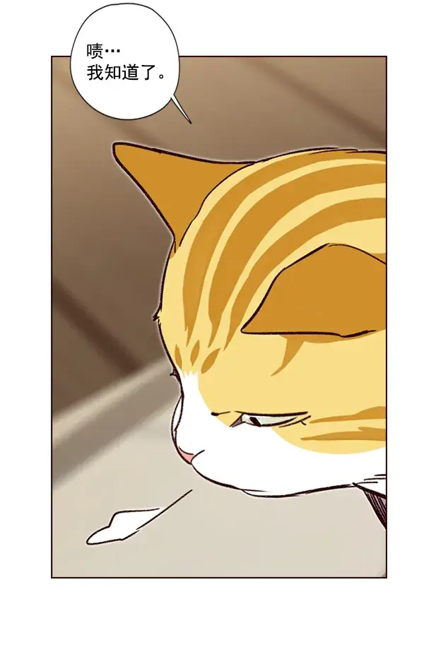漫画《觉醒吧，铲屎官！》第4话第108张图