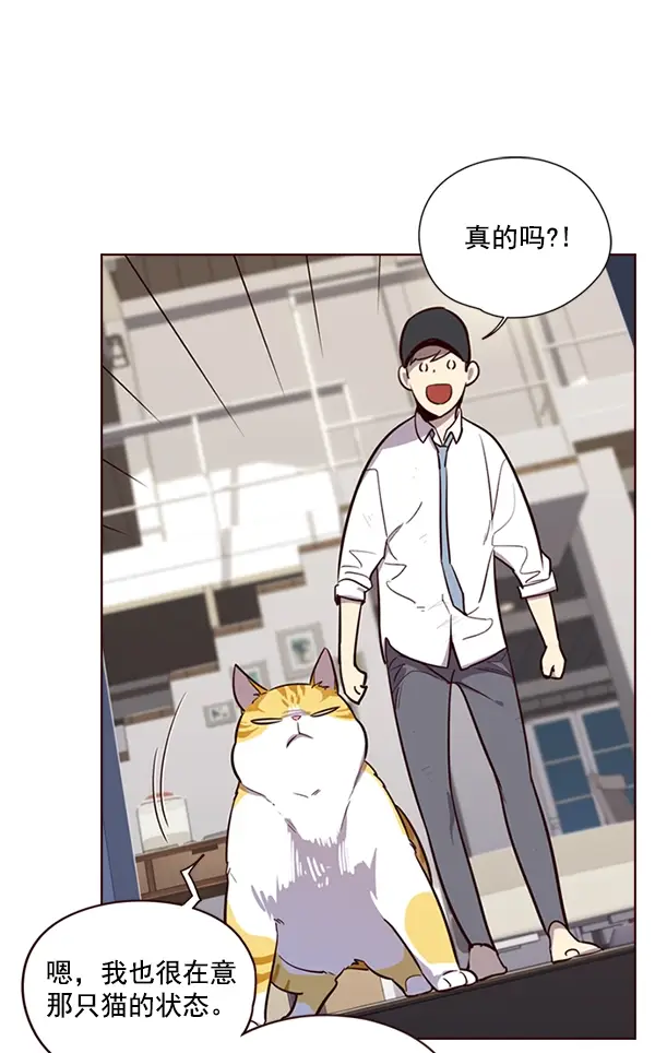 漫画《觉醒吧，铲屎官！》第4话第110张图