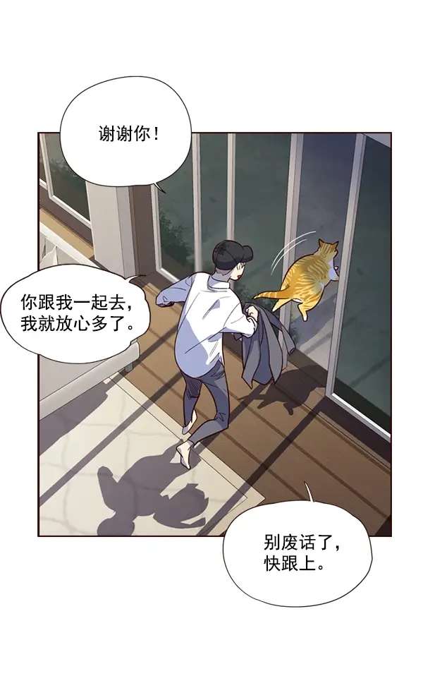漫画《觉醒吧，铲屎官！》第4话第112张图