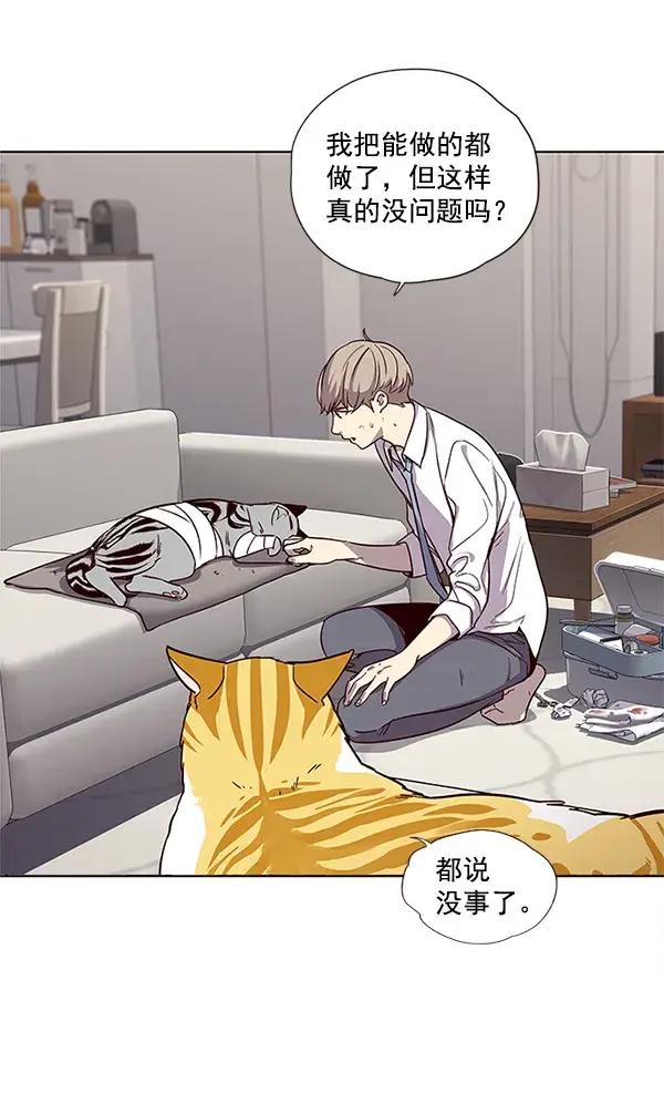 漫画《觉醒吧，铲屎官！》第4话第19张图