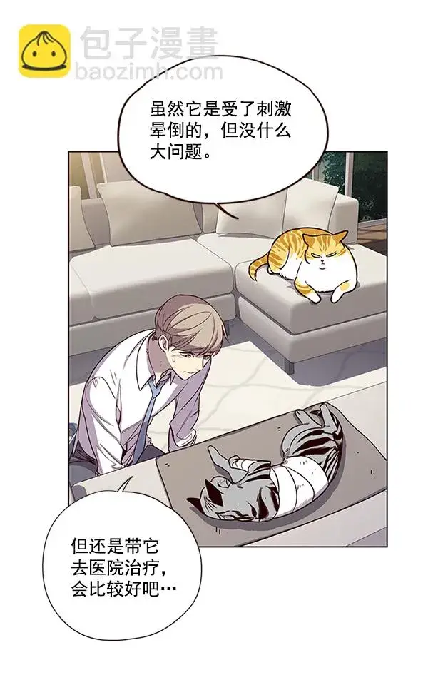漫画《觉醒吧，铲屎官！》第4话第20张图
