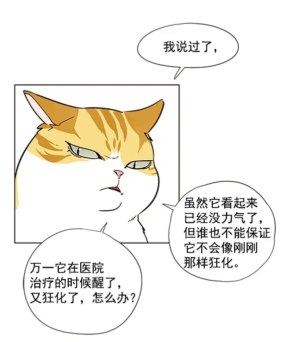 漫画《觉醒吧，铲屎官！》第4话第21张图