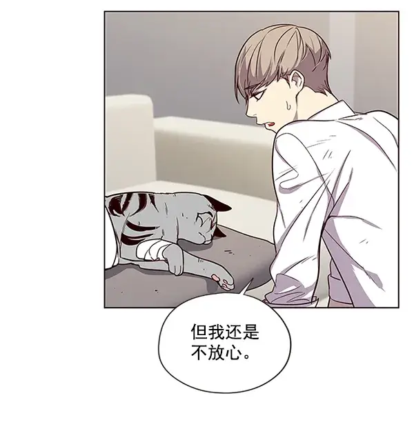 漫画《觉醒吧，铲屎官！》第4话第22张图