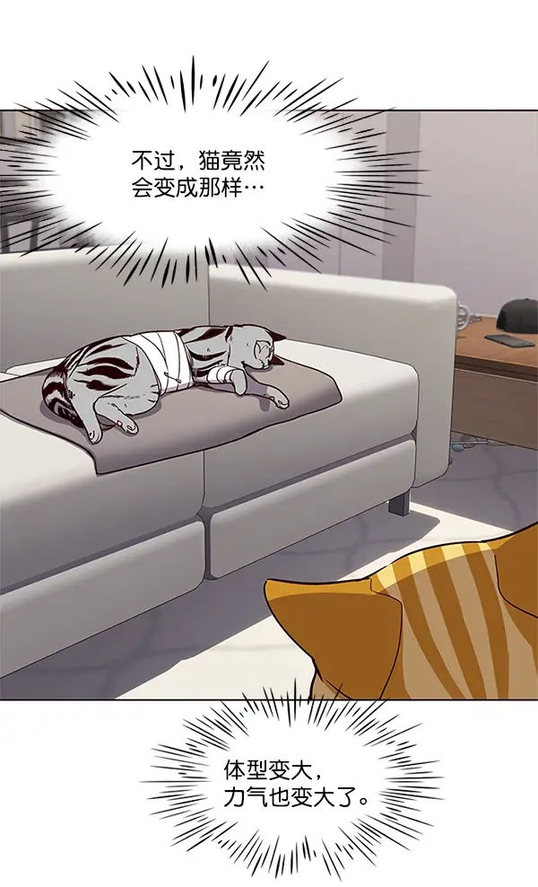 漫画《觉醒吧，铲屎官！》第4话第25张图