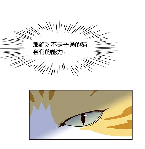 漫画《觉醒吧，铲屎官！》第4话第26张图