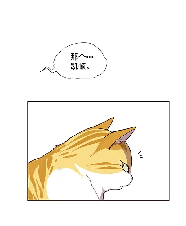 漫画《觉醒吧，铲屎官！》第4话第28张图