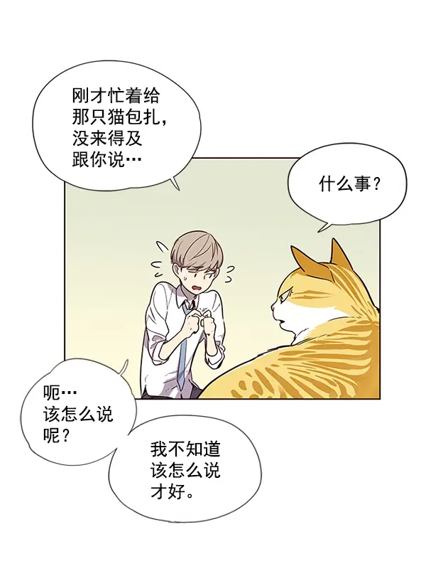漫画《觉醒吧，铲屎官！》第4话第29张图