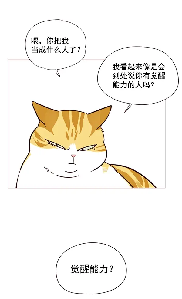 漫画《觉醒吧，铲屎官！》第4话第34张图
