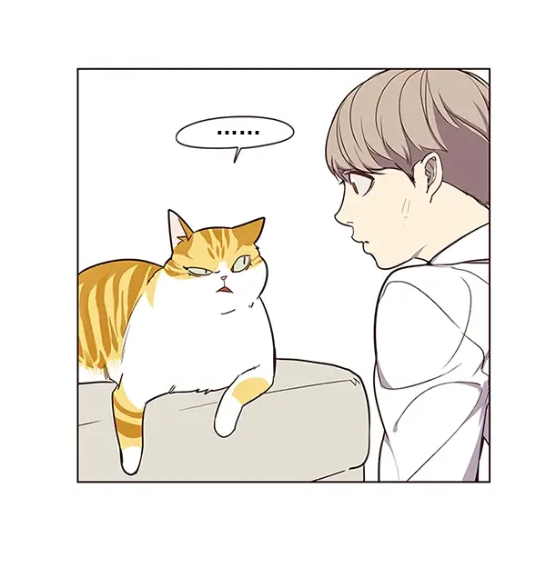 漫画《觉醒吧，铲屎官！》第4话第37张图