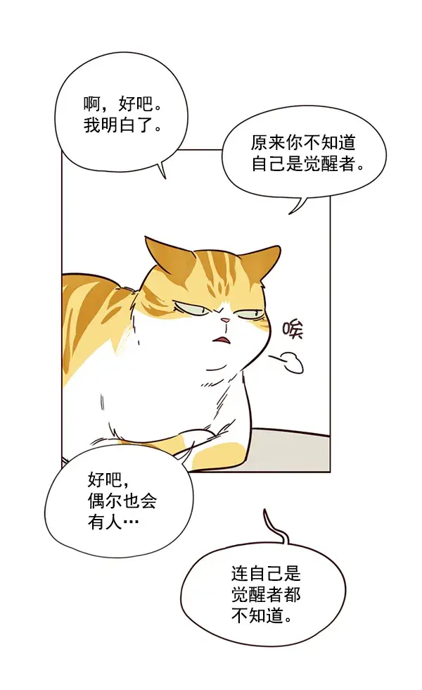 漫画《觉醒吧，铲屎官！》第4话第38张图