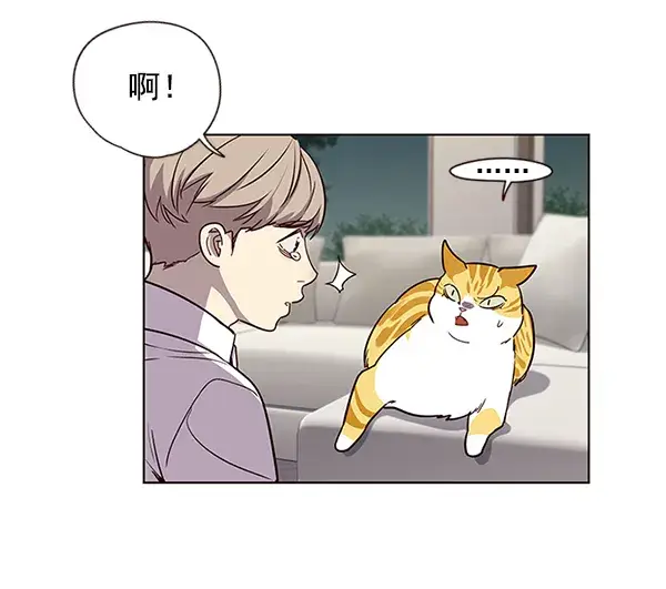 漫画《觉醒吧，铲屎官！》第4话第51张图