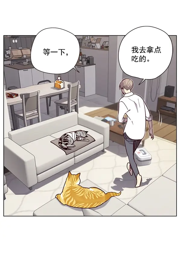 漫画《觉醒吧，铲屎官！》第4话第76张图