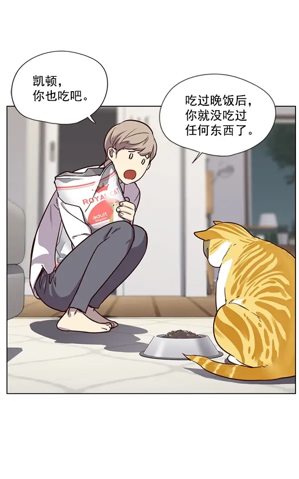 漫画《觉醒吧，铲屎官！》第4话第82张图