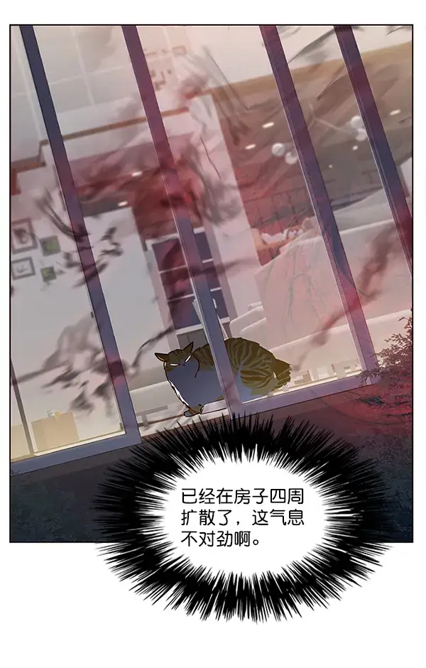 漫画《觉醒吧，铲屎官！》第4话第93张图