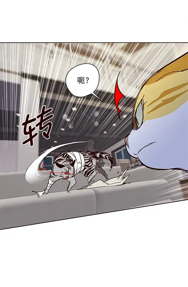 漫画《觉醒吧，铲屎官！》第4话第95张图